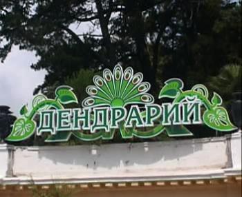 Сочи.Парк Дендрарий. /