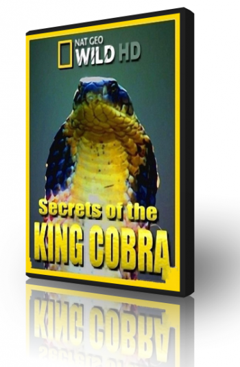 Загадки королевской кобры / Secrets of the King Cobra