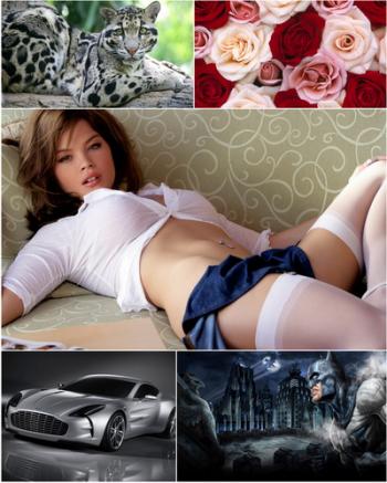 Best Mixed Wallpapers Pack № 72