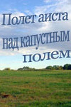 Полет аиста над капустным полем