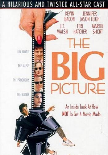 Большая картина / The Big Picture DVO