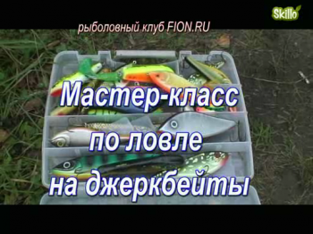 Мастер-класс по ловле на джеркбейты.