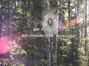 Мир природы, мир спокойствия, свободы.
