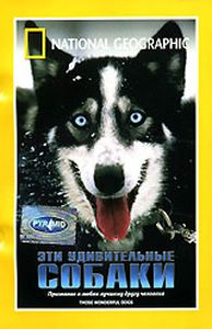 Эти удивительные собаки / Those Wonderful Dogs