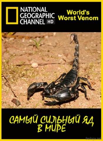 National Geographic. Самый сильный яд в мире / World's Worst Venom