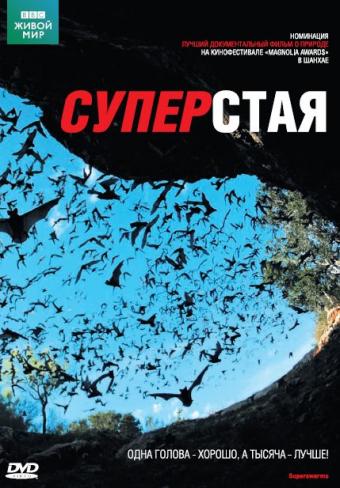 Живой мир. Суперстая (2 части из 2) / The Natural World. Superswarms