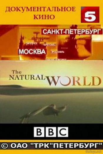 Мир природы / The Natural World (1-50 серий)