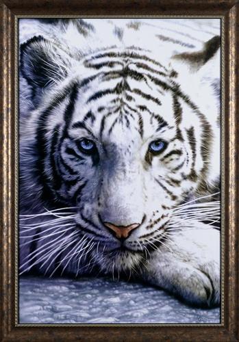 Львы и Тигры/lions tigers