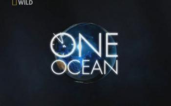 Один океан:Глубинные тайны / One Ocean:Deep mysteries