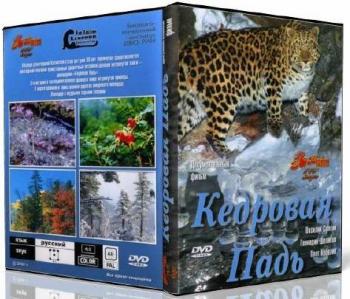 Кедровая Падь