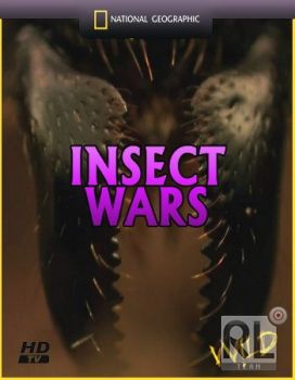 Войны насекомых / Insect wars