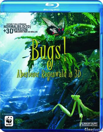 Букашки! / Bugs! A Rainforest Adventure