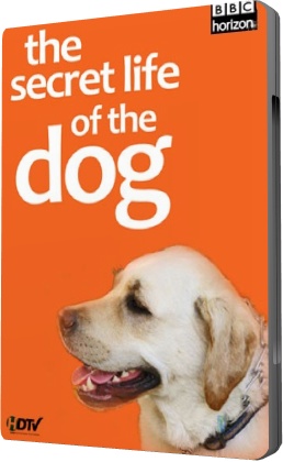 BBC: Тайная жизнь собак / Horizon. The Secret Life of the Dog
