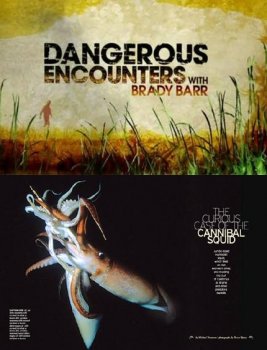 Опасные встречи.Кальмар-каннибал / Dangerous Encounters:Cannibal Squid