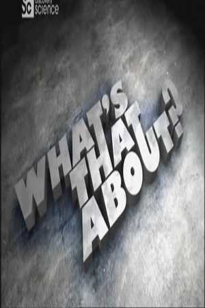 Как все это устроено? (16 серий) / What's That About?