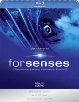 Захватывающее путешествие в мир природы и звука / Blue Elements Present: Forsenses