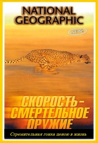 NG: Скорость - смертельное оружие / Killer Instincts: Speed VO
