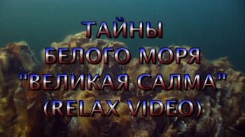 Тайны Белого моря: Великая Cалма (Часть 2) / Deep Sea