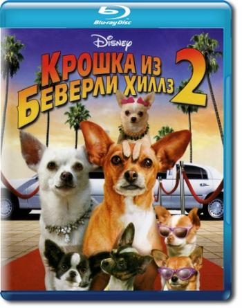 Крошка из Беверли-Хиллз 2 / Beverly Hills Chihuahua 2 DUB
