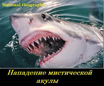 Нападение мистической акулы / NG: Attacks of the Mystery Shark