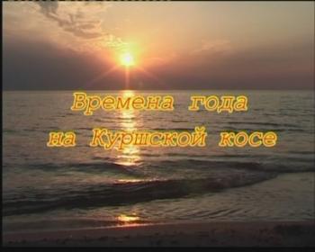 Времена года на Куршской косе