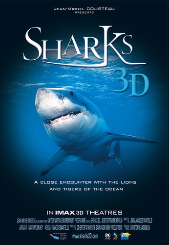 Акулы / Sharks