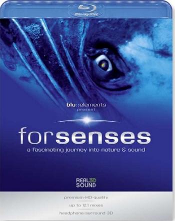Релакс: Путешествие в мир природы и звуков / Relax. ForSenses