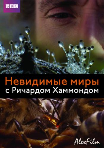 BBC: Невидимые миры 1-2 серии из 3 /BBC: Richard Hammond's Invisible Worlds