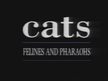 Кошки и фараоны / Felines and Pharaohs