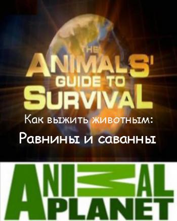 Animal Planet. Как выжить животным (2 из 7) : Равнины и саванны / The Animals' guide to Survival