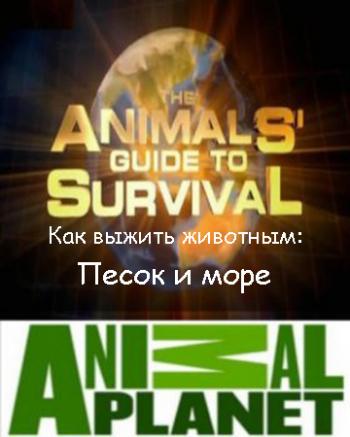 Animal Planet. Как выжить животным (6 из 7) : Песок и море / The Animals' guide to Survival
