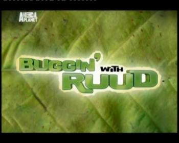 Рууд и его жуки: Болото Окефеноки - жуки-чудища (7 серия) /Buggin with Ruud