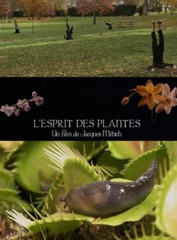 Разум Растений / L'esprit des plantes