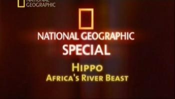 Бегемоты. Грозные чудовища африканских рек / Hippo. Africa's River Beast