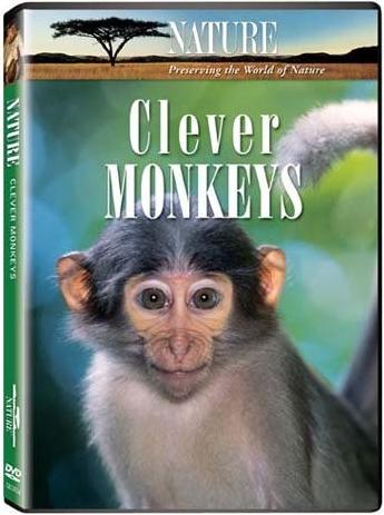 Умные обезьяны / Clever Monkeys