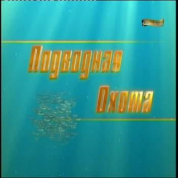 Подводная охота с Александром Кочубеем (часть 6)