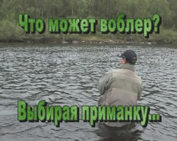 Серебряный ручей №29 / Что может воблер? часть 3. Выбирая приманку