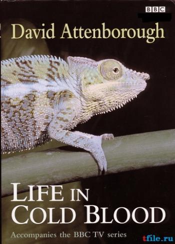 Жизнь с холодной кровью / BBC: Life in cold blood