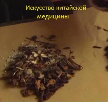 Искусство китайской медицины / The Art of Chinese Medicine