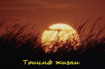 National Geographic. Триумф Жизни / National Geographic. Triumph of Life