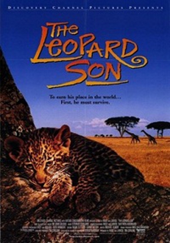 Discovery. Сын леопарда / Discovery. The Leopard Son