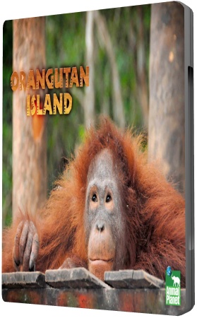 Остров орангутанов / Orangutan Island (Серия 1 из ???)