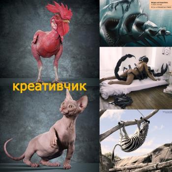 Прикольные креативные обои