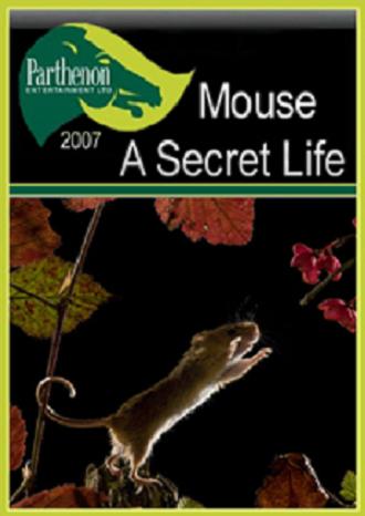 Parthenon. Тайная жизнь мышей / Parthenon. Mouse. A secret life DUB