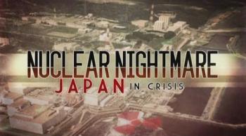 Техногенная катастрофа: Японская трагедия / Nuclear nightmare: Japan in crisis VO