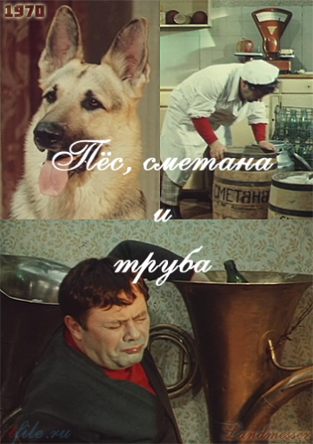 Пес, сметана и труба