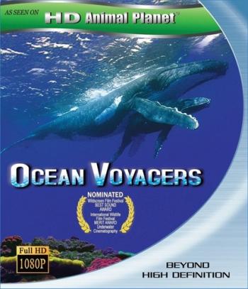 Бороздящие океаны / Ocean Voyagers