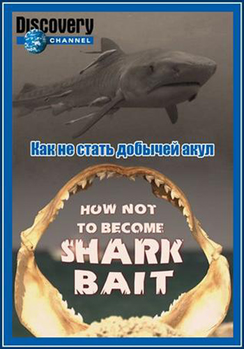 Discovery. Как не стать добычей акул / Discovery. How Not To Become Shark Bait VO