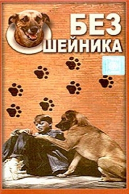 Без ошейника