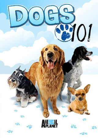 Введение в собаковедение (часть 4) / Dogs 101 (part 4) VO